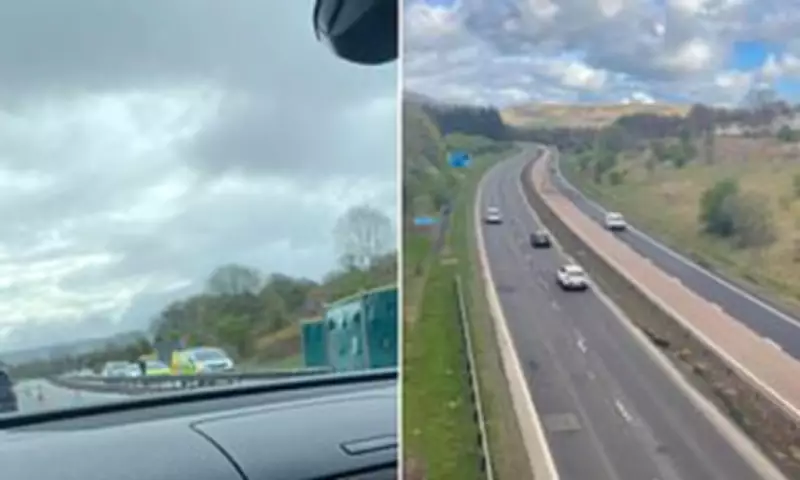 Police Watchdog to Probe M90 Wrong-Way Crash That Killed Two Drivers