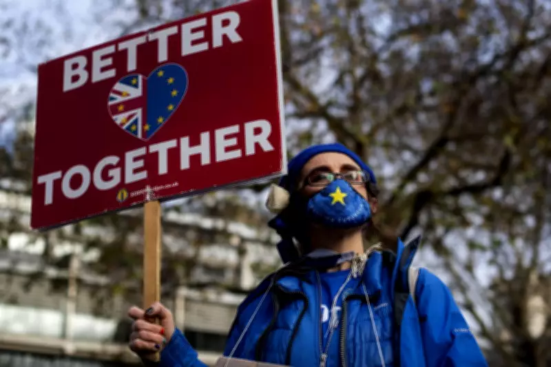 Poll: Over Half of Britons Now Support Full UK Rejoin of the EU