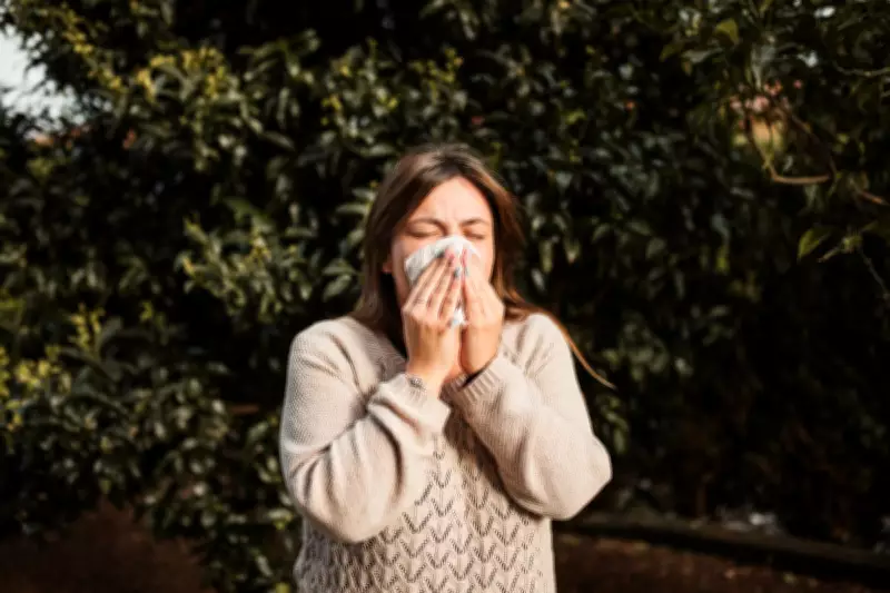 Pollen Season Intensifies: Experts Warn of Longer, More Severe Allergies