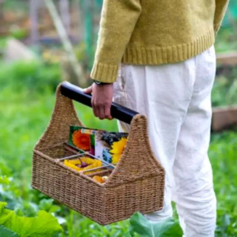 Popular Garden Seed Box with 70 Varieties Makes 'Lovely Gift' for Under £25