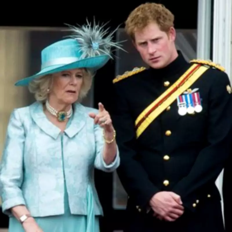 Prince Harry's Desperate Plea to King Charles Before Camilla Wedding Revealed