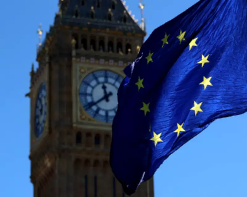 Professor Urges Labour to Champion EU Re-entry Referendum for Electoral Momentum