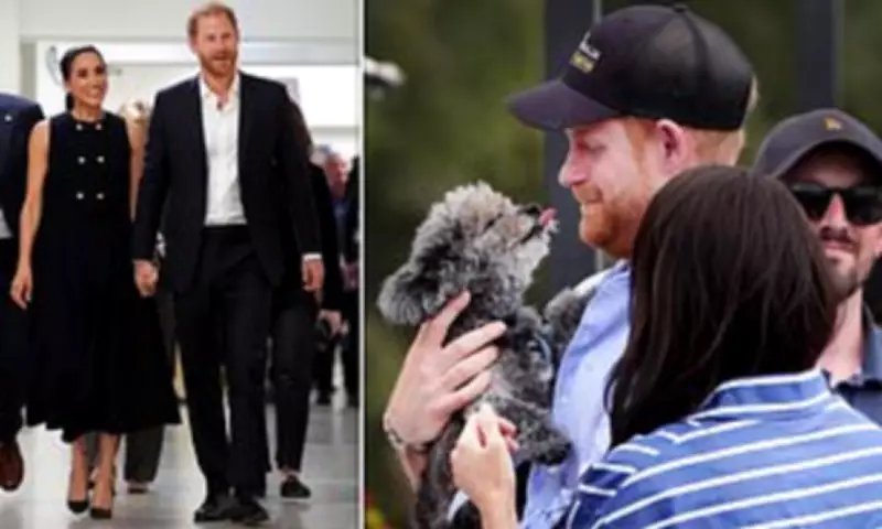 Public Backlash Against Sussex Titles for Profit as Royal Poll Reveals Widespread Concerns