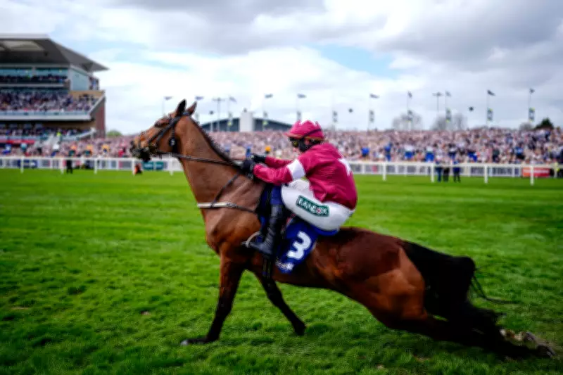 Public Split on Horse Racing Ban as Green Leader Polanski Intensifies Calls