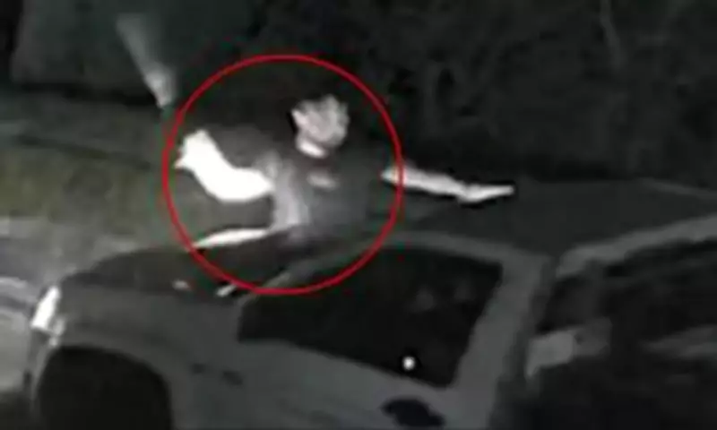 Queensland Vigilantes Smash Stolen Ute, Spark Safety Fears in Logan Suburb