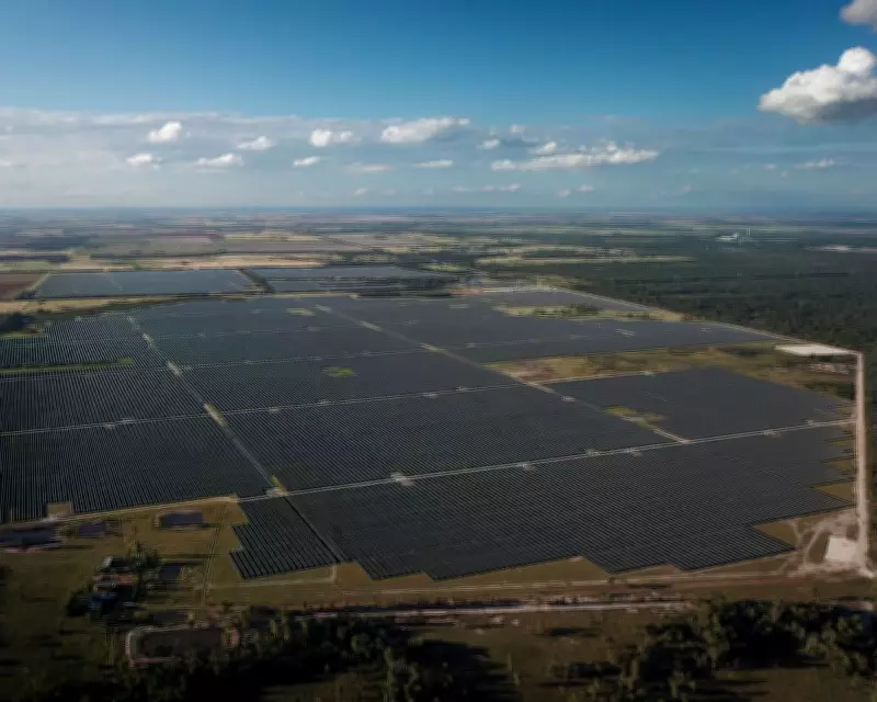 Queensland's Renewable Energy 'Whiplash': Investment Plunges Under New Government