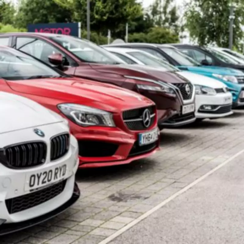 RAC Drive Warns of Rodent Infestation in Unused Cars During Holidays