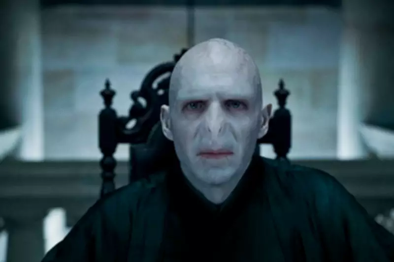 Ralph Fiennes Suggests Tilda Swinton as Voldemort in Harry Potter TV Series