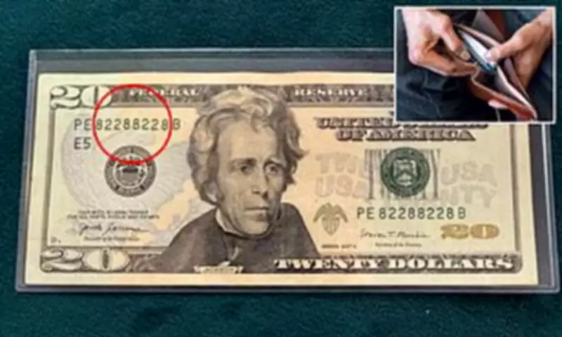 Rare 'Radar' Dollar Bills Could Be Worth Thousands Hiding in Your Wallet