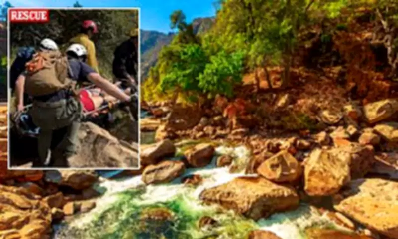 Rattlesnake Bite Rescue: Woman Texted for Help on California Trail