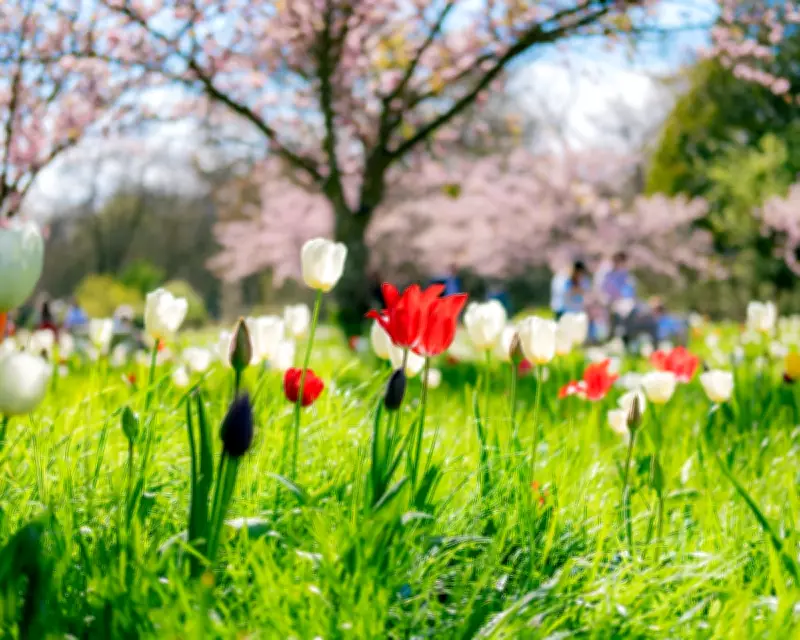 Readers' Best Photographs: A Global Showcase from Kew to Greenland
