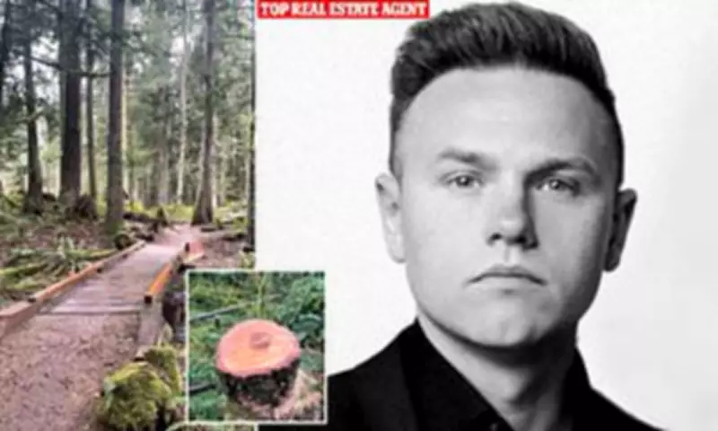 Real Estate Agent Accused of Cutting 142 Trees for Profit, Not Safety