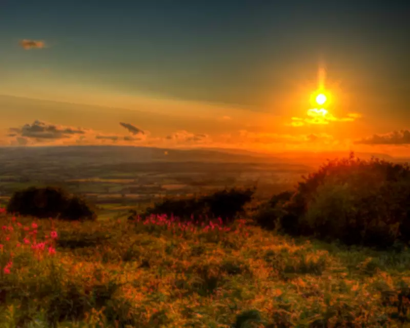 Recent Poetry Collections Reviewed: From Somerset Landscapes to Navajo Droughts