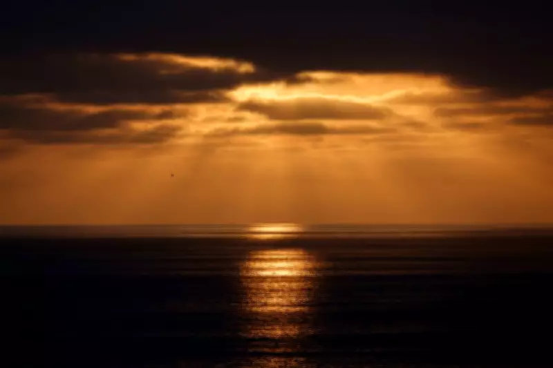 Record Ocean Temperatures Off Southern California Spark Fears of Prolonged Marine Heatwave