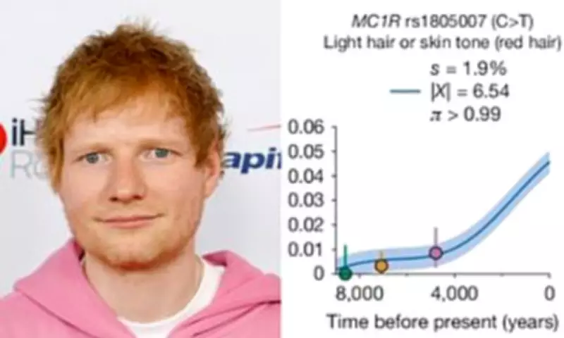 Redheads on the Rise: Natural Selection Boosts Ginger Gene Prevalence in Europe