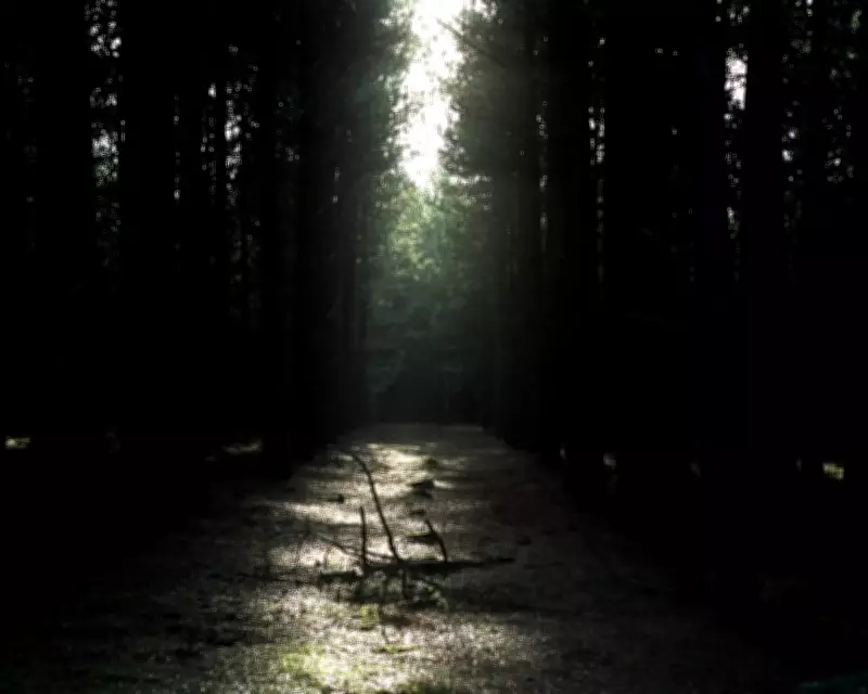 Rendlesham Forest UFO Incident: The Perfect Storm of a UFO Case