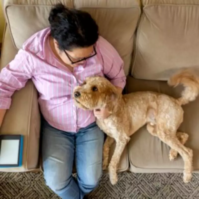 Renters' Rights Act: One in Four Brits in Rented Homes Now More Likely to Get Pets