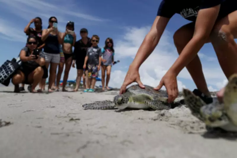 Republicans Delay Vote on Endangered Species Act Overhaul on Earth Day