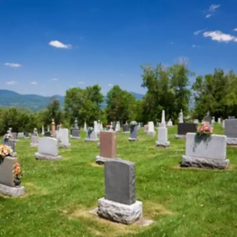 Rescue Team Follows Faint Cries in Cemetery, Discovers Heartbreaking Scene