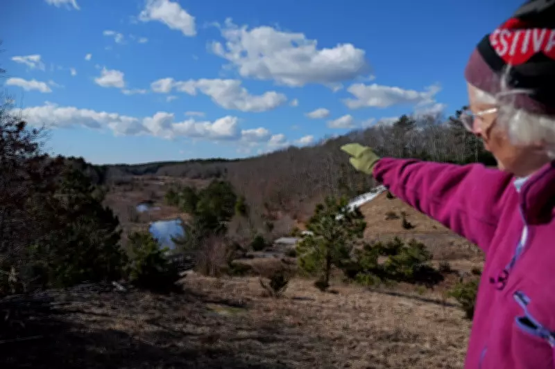 Retired Cranberry Bog Transforms into Massachusetts Wetland Restoration Model