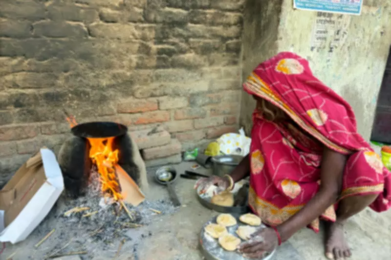 Rising Energy Costs Drive Families Back to Charcoal, Threatening Wildlife