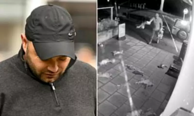 Roofer cleared of dumping 50 dead hares outside shop, says 'tweet tweet tweet'