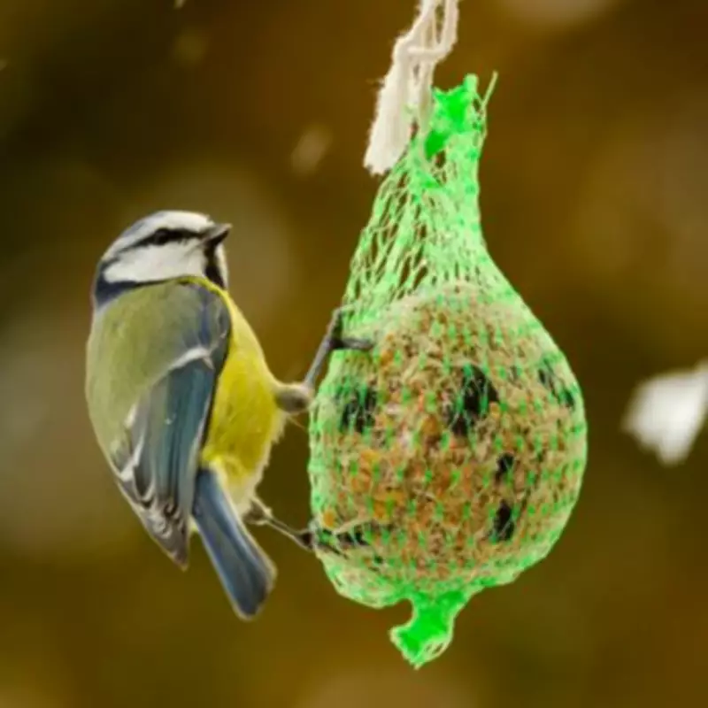 RSPB Urges Gardeners to Halt Peanut and Seed Feeding This Spring and Summer