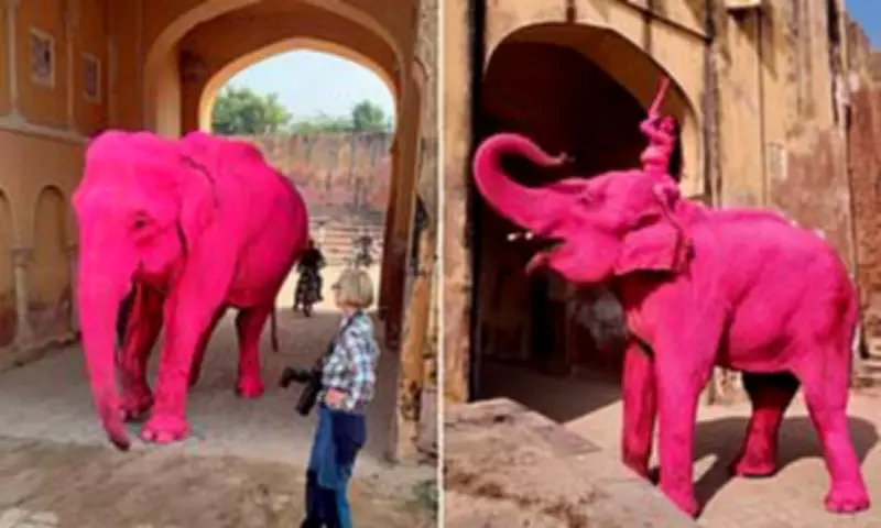 Russian Photographer Faces Death Threats After Pink Elephant Art Project