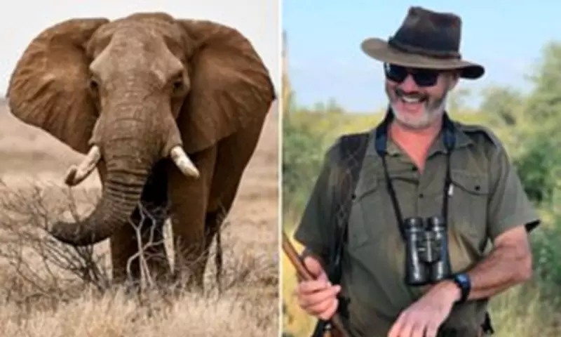 Safari Owner Killed by Elephant After Vowing Never to Shoot One