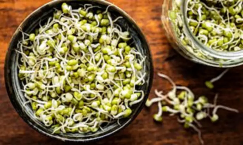 Salmonella Outbreak Linked to Sprout Seeds Sickens 50 Across Europe