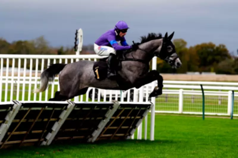 Saturday Racing Tips: Expert Bets for Haydock and Musselburgh