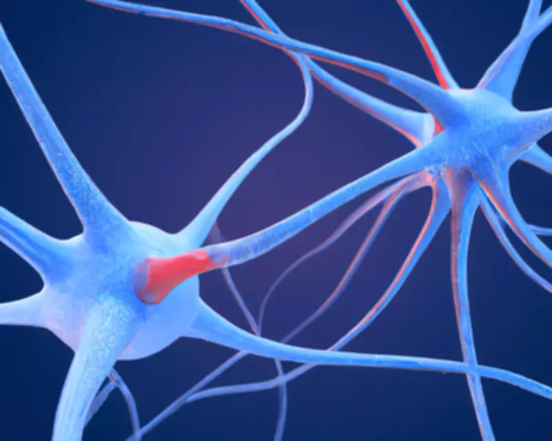 Scientists Discover Unique Neural Fingerprint of Psychedelic Drugs in Brain