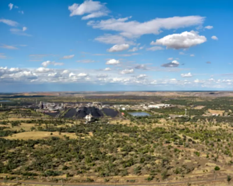 Scientists Warn AI Environmental Approvals Risk Robodebt-Style Failures