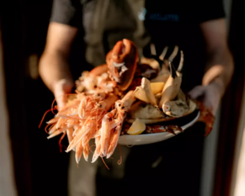 Scotland's Finest Seafood: From Waterside Shacks to Coastal Gems