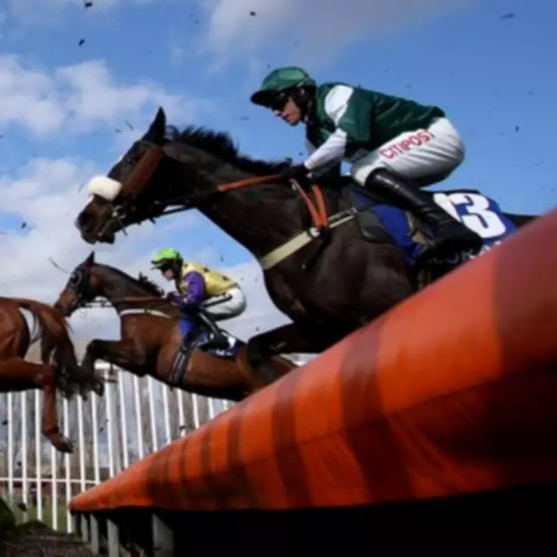 Scottish Grand National 2026: Full Guide to Jockey Colours and Horse Numbers