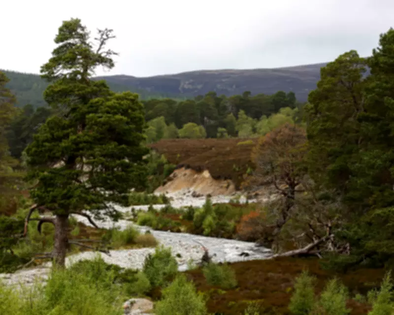 Scottish Nature Restoration Funding Deal Collapses Without MSPs' Knowledge