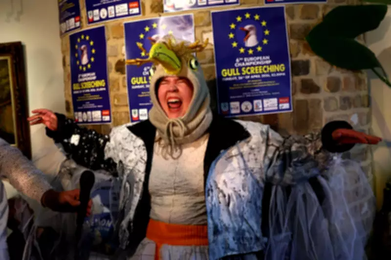 Seagull Screeching Championship Returns to Belgium for Sixth Year