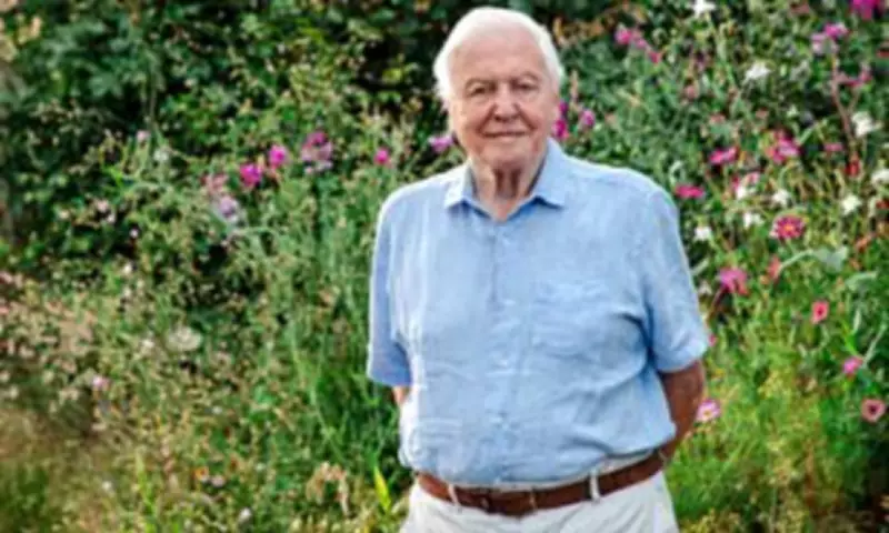 Secret Garden Reveals UK Wildlife Drama Rivaling Serengeti