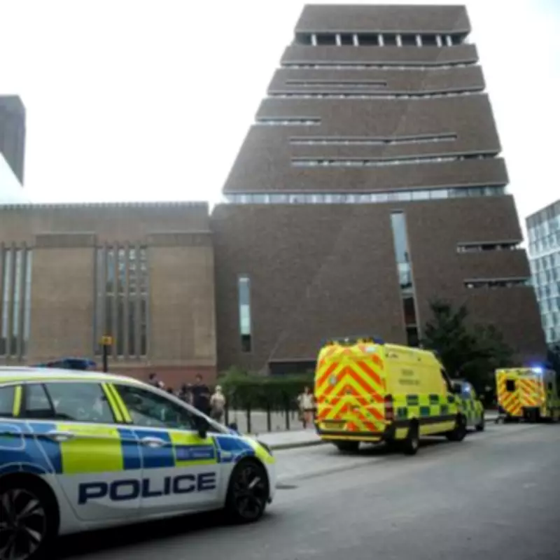 Seven Years After Tate Modern Attack: Boy's Agonising Recovery Continues