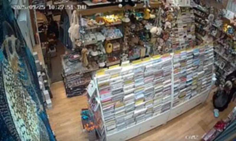 Shoplifter Steals £2,528 in Jellycat Toys, Spared Jail Despite 45 Prior Thefts