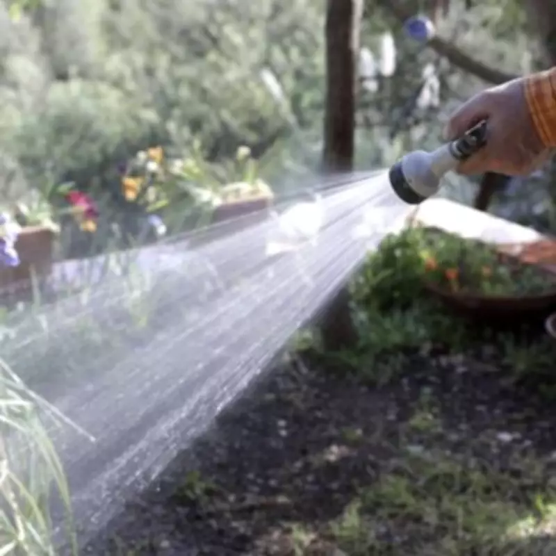 Simple Watering Schedule in Spring Can Protect Your Garden from Slugs