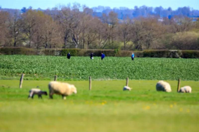 Skydiver Dies in Easter Monday Parachute Failure at Kent Aerodrome