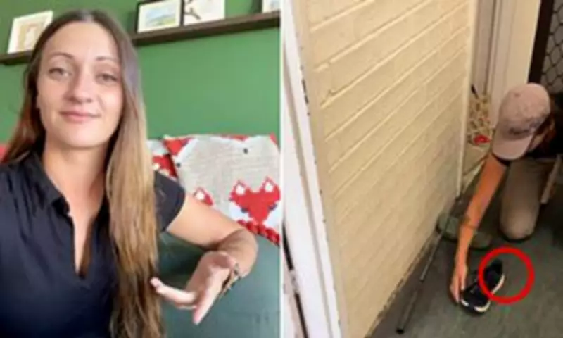 Snake Catcher's Shoe Warning: Deadly Reptile Found in Running Sneaker