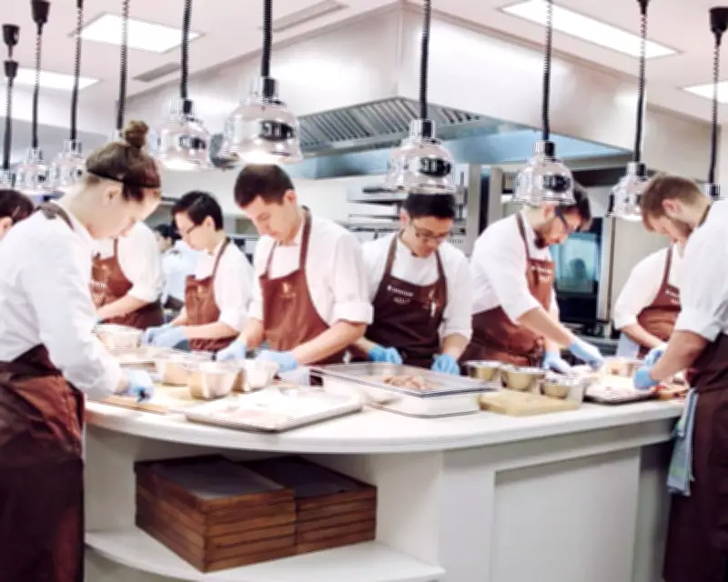 Social Media Chefs Lure Youngsters from Classic Culinary Training