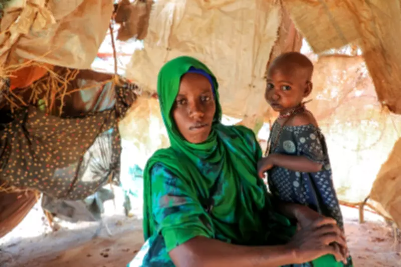 Somalia Faces Imminent Famine as 6.5 Million Endure Crisis Hunger Levels