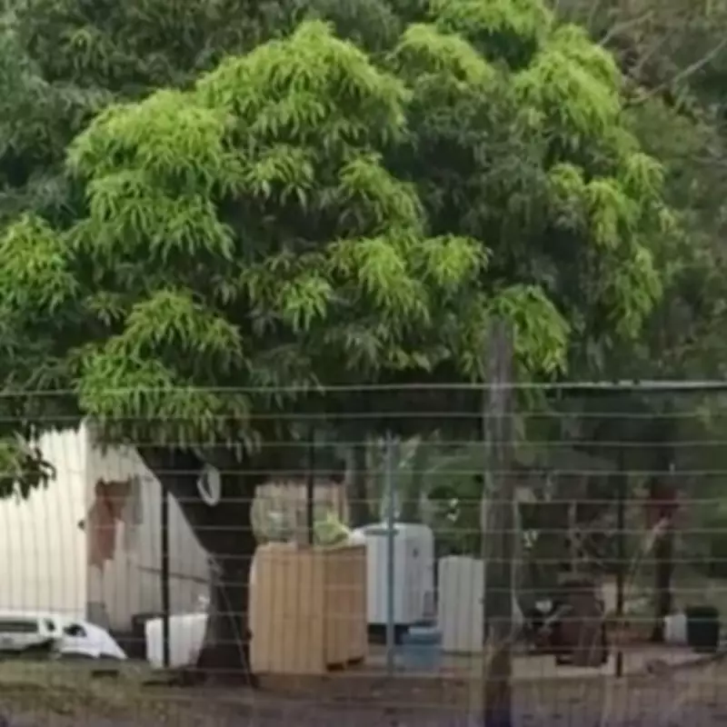 South African Family of Seven Kidnapped and Executed in Brutal Crime Spree