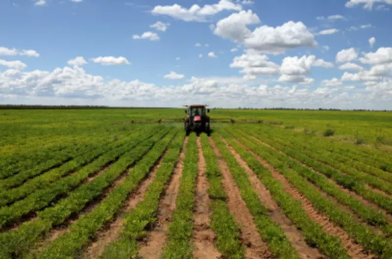 South African Farmers Face Fuel Crisis Ahead of Harvest Amid Iran War