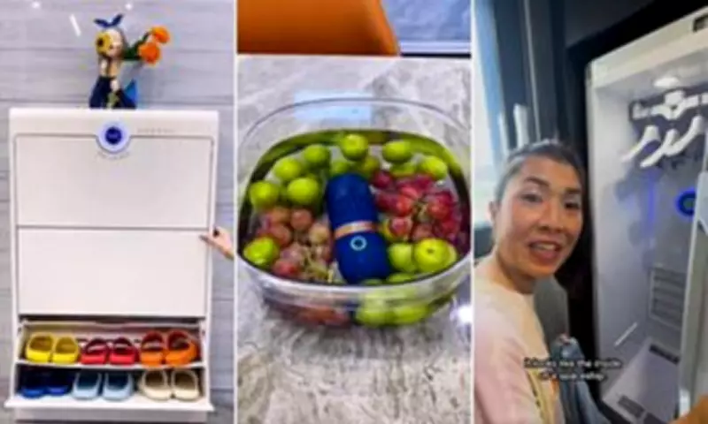 South Korea's High-Tech Cleaning Obsession: From Smart Bins to UV Sterilisers