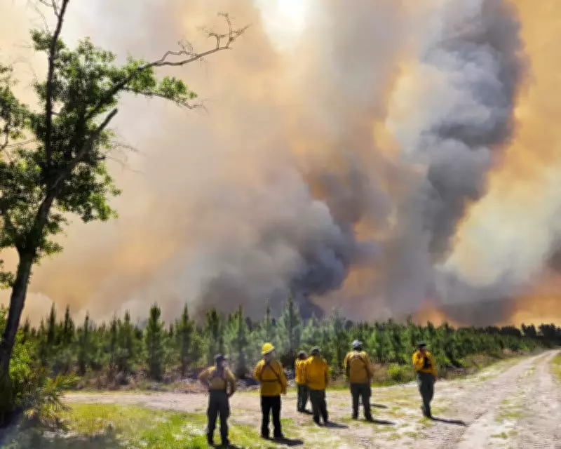 Southeast US Wildfires Intensify, Destroying Homes and Triggering Evacuations