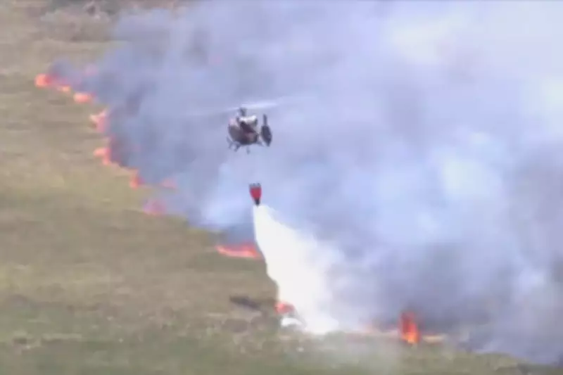 Southeastern US Wildfires Intensify, Destroying 50 Homes and Forcing Evacuations